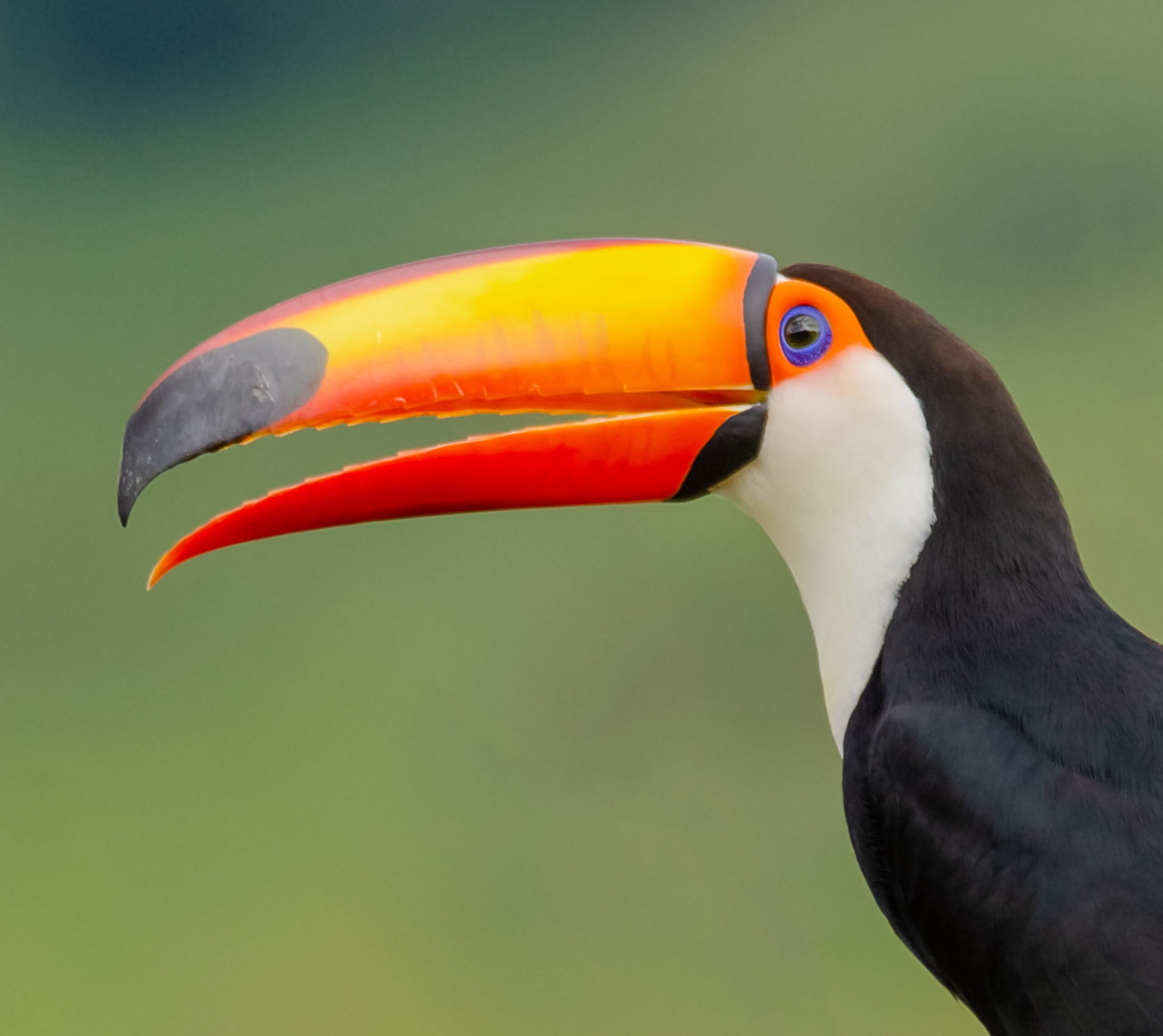 DSC9278 Editar 3 2 scaled