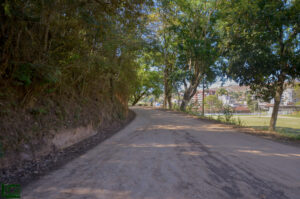 Mata do Posto Zootécnico: Uma riqueza natural no centro de Cordeiro 2 DSC3934 1