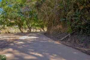 Mata do Posto Zootécnico: Uma riqueza natural no centro de Cordeiro 4 DSC3937 1 1