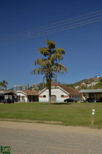 Mata do Posto Zootécnico: Uma riqueza natural no centro de Cordeiro 1 DSC3944 1 2