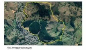 Mata do Posto Zootécnico: Uma riqueza natural no centro de Cordeiro 3 WhatsApp Image 2021 08 10 at 13.25.01