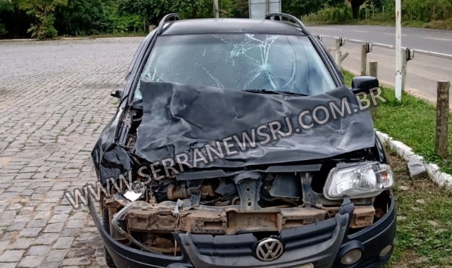 Carro atropela novilha solta na RJ-116 e deixa um ferido em Aperibé