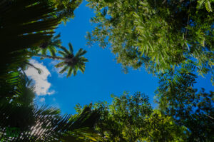 Praça do João XXIII: por dentro das memórias do Jardim de Cantagalo 3 DSC6013 1