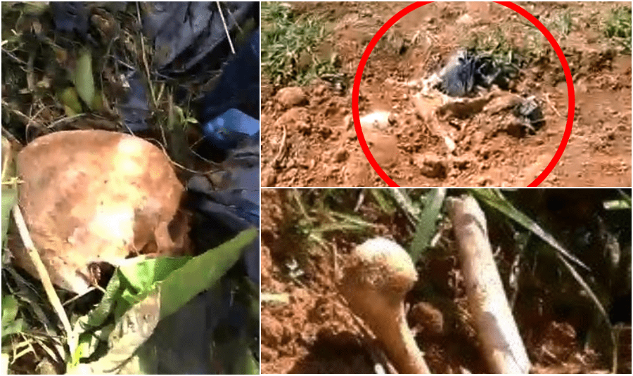 Corpos em sacos e ossos expostos em Cemitério de Petrópolis geram revolta
