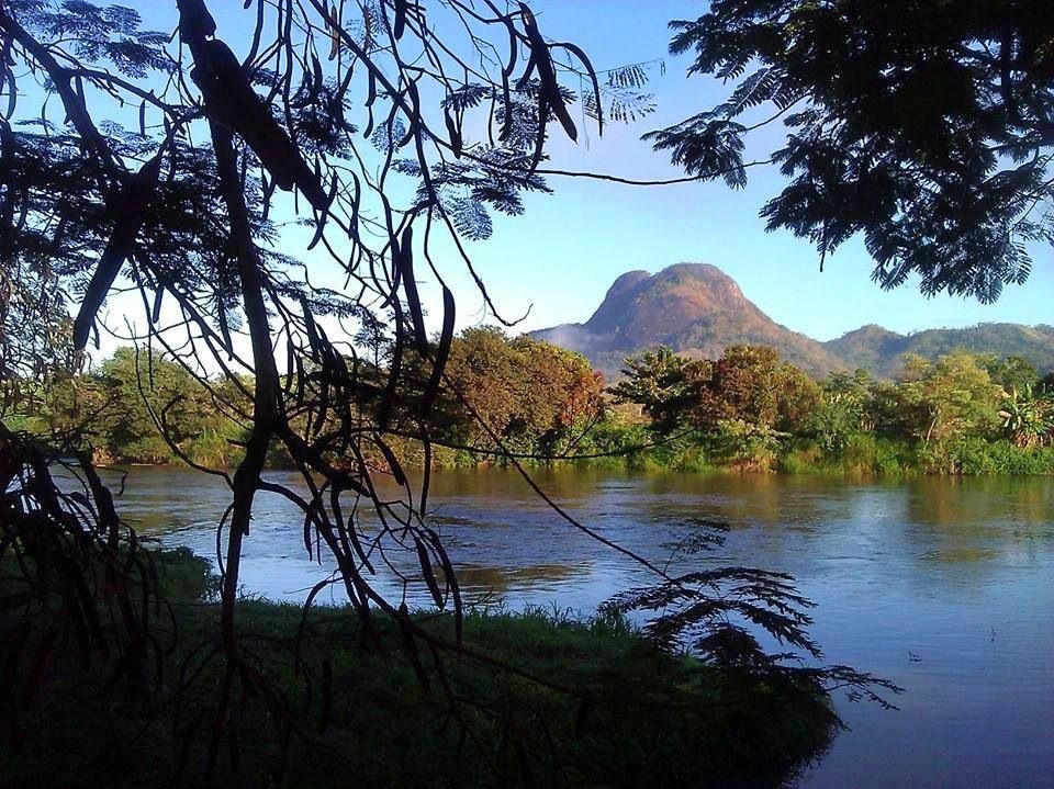 Aperibé: Animais reaparecem na Serra da Bolívia após preservação ambiental