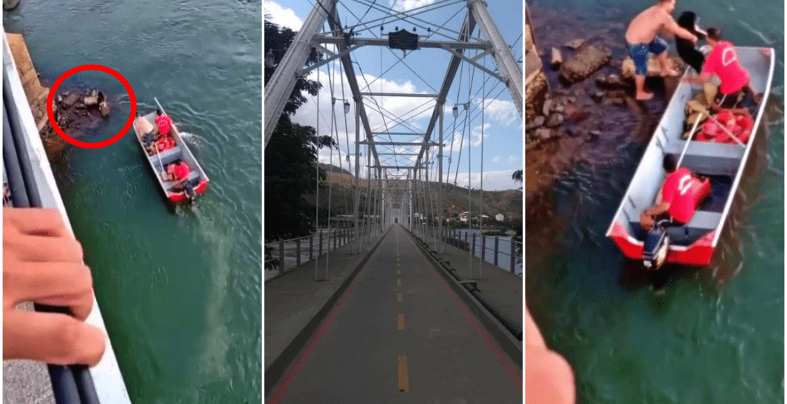 Bombeiros resgatam cachorro que caiu da Ponte Metálica em São Fidélis