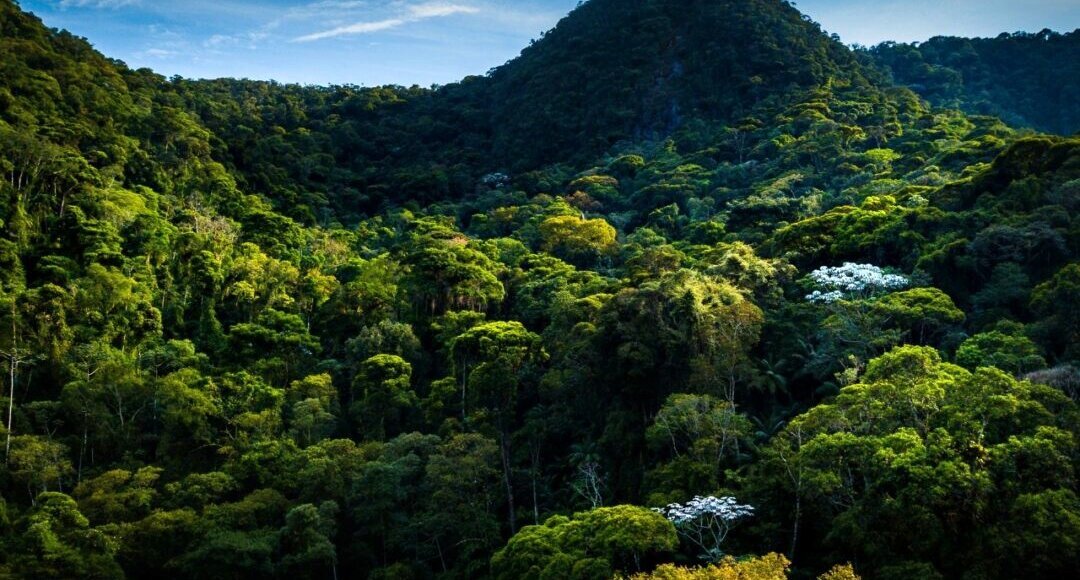 Nova Friburgo é líder no estado em Reservas Particulares de Patrimônio Ambiental