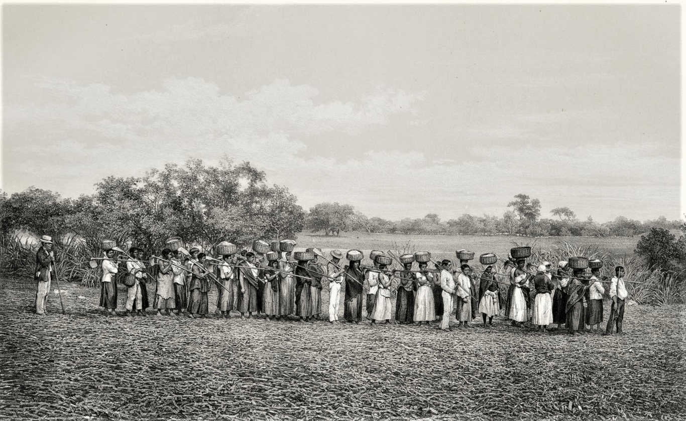 Facínora ou mártir? O Quilombo de Carukango 4 Victor Frond. 1861. Acervo Coleção Brasiliana Itaú