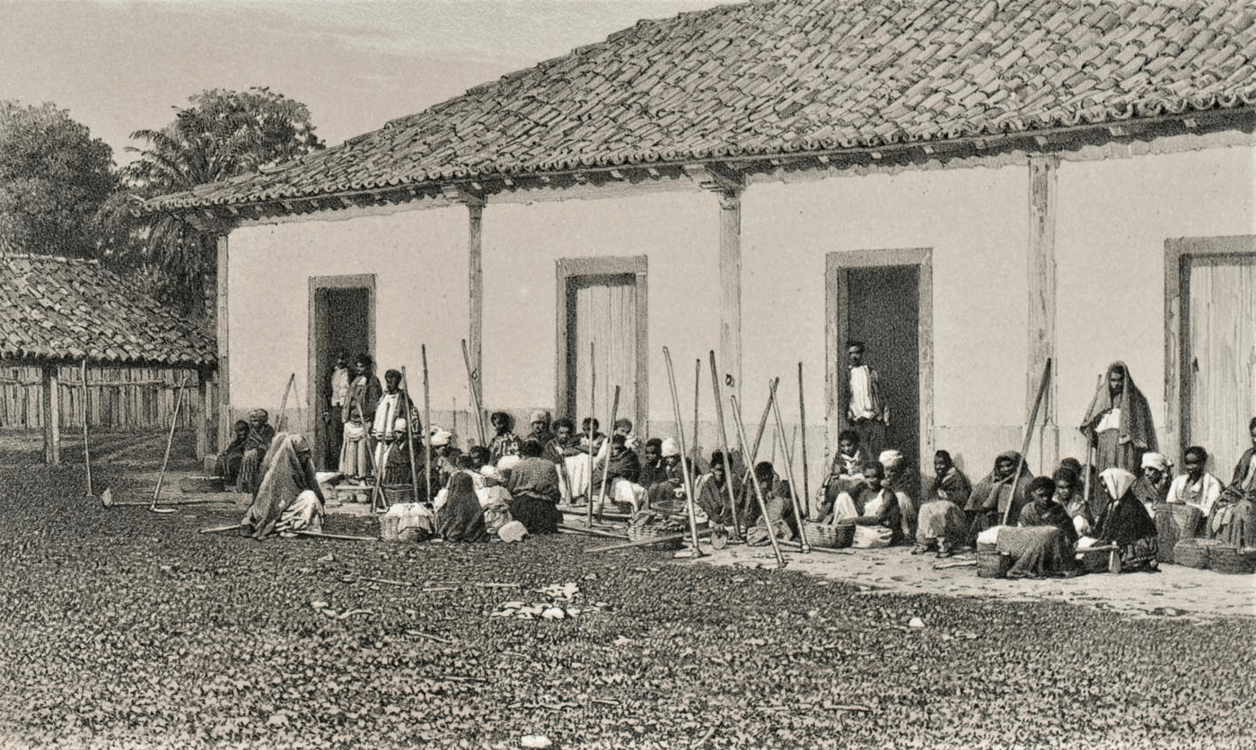 Facínora ou mártir? O Quilombo de Carukango 5 Victor Frond. 1861. Acervo Coleção Brasiliana Itaú