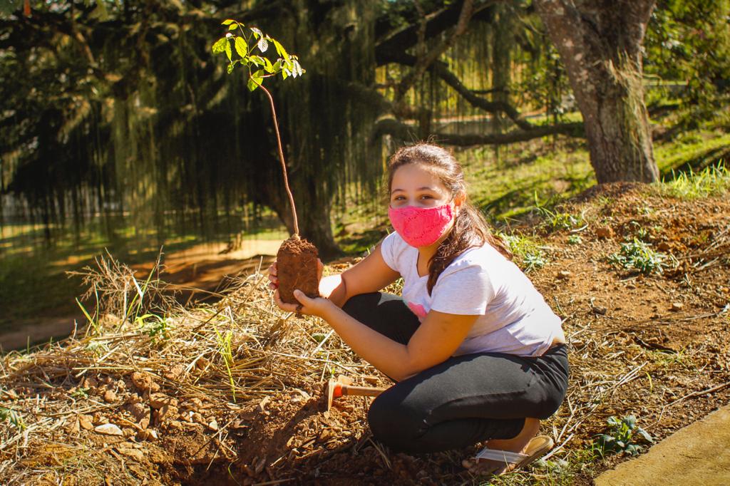 Grupo planta dezenas de ipês ao redor de praça em Itaocara 1 Grupo planta dezenas de ipês ao redor de praça em Itaocara