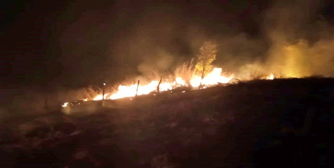 incêndio em vegetação em Piraí, em São Fidélis
