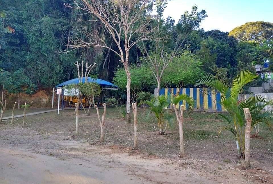 Moradores de Cordeiro indagam corte de árvores na Mata do Posto Zootécnico 3 Moradores de Cordeiro indagam corte de árvores na APA Mata do Posto Zootécnico