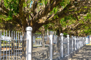 Outra curiosidade sobre o Adro da Igreja Matriz de Nossa Senhora da Piedade, refere-se à grade que o cerca e que não existia desde sua fundação. Essa grade foi trazida do Jardim de Cantagalo (Praça João XXIII) após sua reforma e construção do famoso murinho que a circunda.