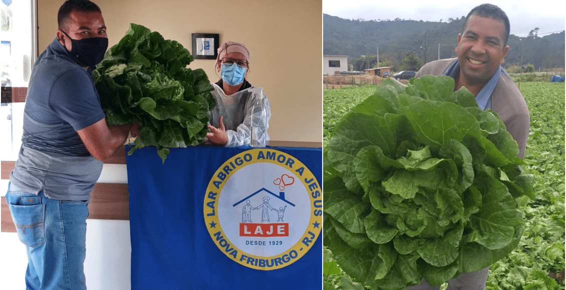 Produtor de Friburgo doa acelga gigante para o Lar Abrigo Amor a Jesus
