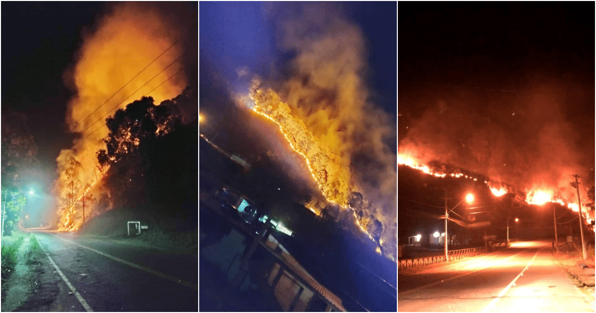 Incêndios florestais são registrados em Friburgo, Cantagalo e São Fidélis 2 Incêndio registrado no Campo do Coelho em Nova Friburgo
