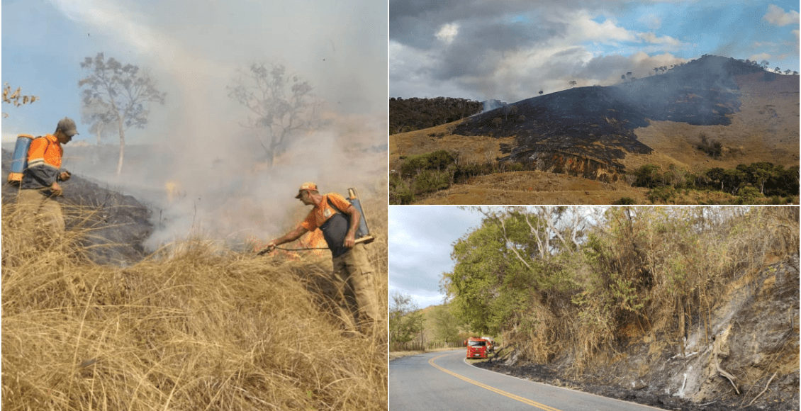 Incêndio criminoso é contido às margens da RJ-116 em Macuco