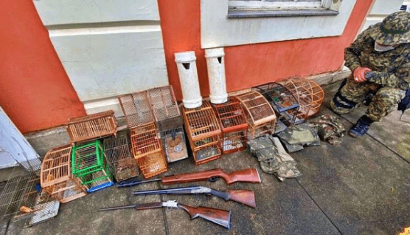 Polícia prende homem por crime ambiental em Santa Maria Madalena