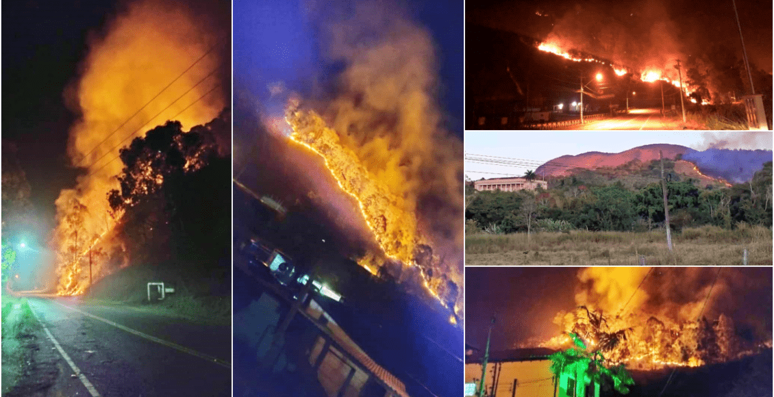 Incêndios florestais são registrados em Friburgo, Cantagalo e São Fidélis