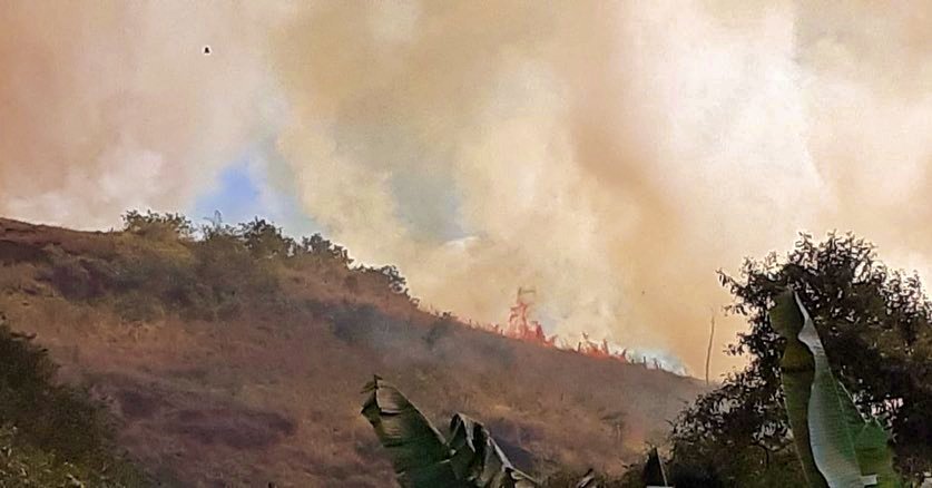 Incêndios florestais são registrados em Friburgo, Cantagalo e São Fidélis 3 Equipes controlam incêndio no Palmital em São Fidélis