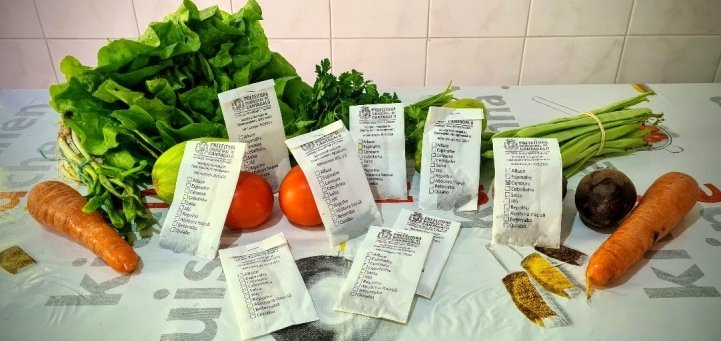 Distribuição de sementes de hortaliças incentiva hortas domésticas em Cantagalo