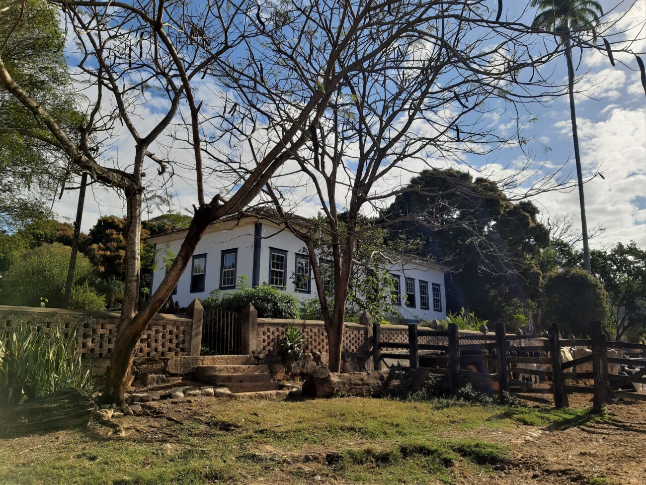 Turismo Rural na Fazenda Sossego em Cantagalo 1 No antigo terreiro de café fica o gado. Acervo pessoal