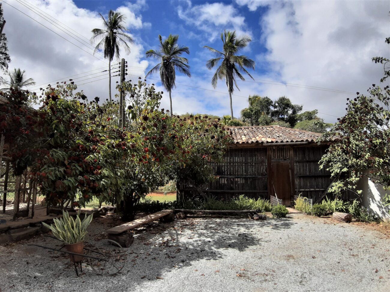 O paiol vira um centro de memória de instrumentos de trabalho da fazenda. Acervo pessoal
