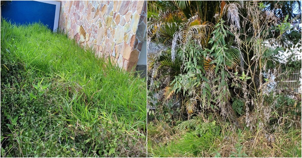 Estado abandona Casa de Euclides da Cunha há 10 anos em Cantagalo 1 Estado abandona Casa de Euclides da Cunha há 10 anos em Cantagalo