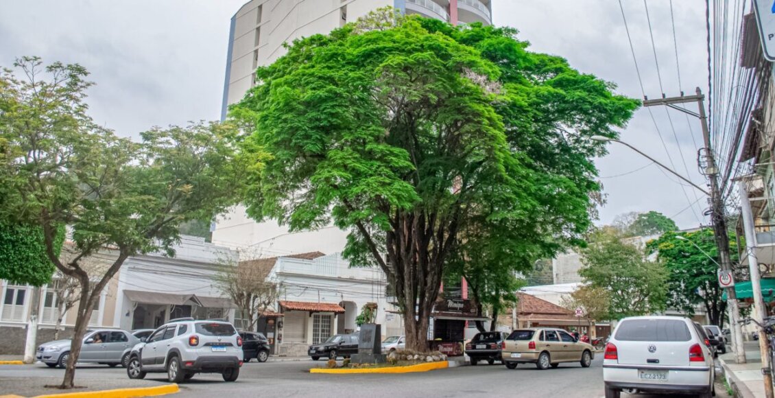 Centro de Cordeiro RJ