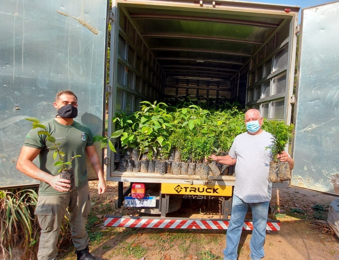 Cantagalo recebe mudas de árvores para doação do programa Replantando Vida 1 Cantagalo recebe mudas de árvores para doação do programa Replantando Vida