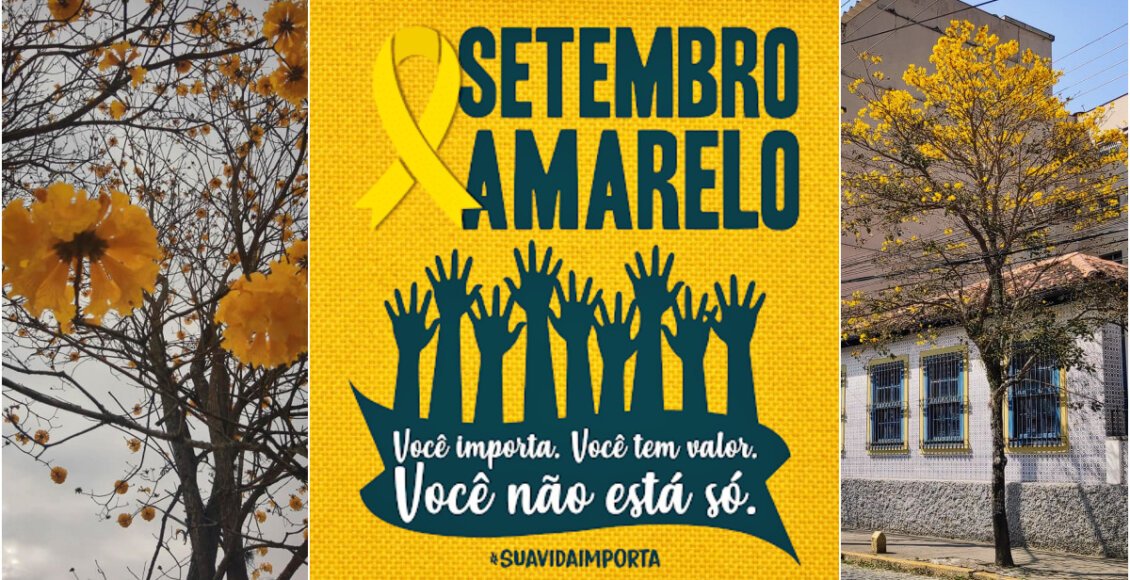 Prevenção ao Suicídio: Nova Friburgo lança programação de Setembro Amarelo