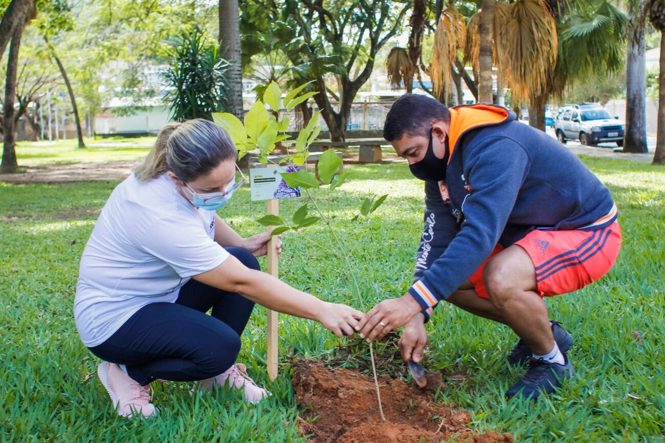 Caminhada das Sementes em Itaocara promove a conscientização ambiental 1 Caminhada das Sementes em Itaocara desperta importância da consciência ambiental