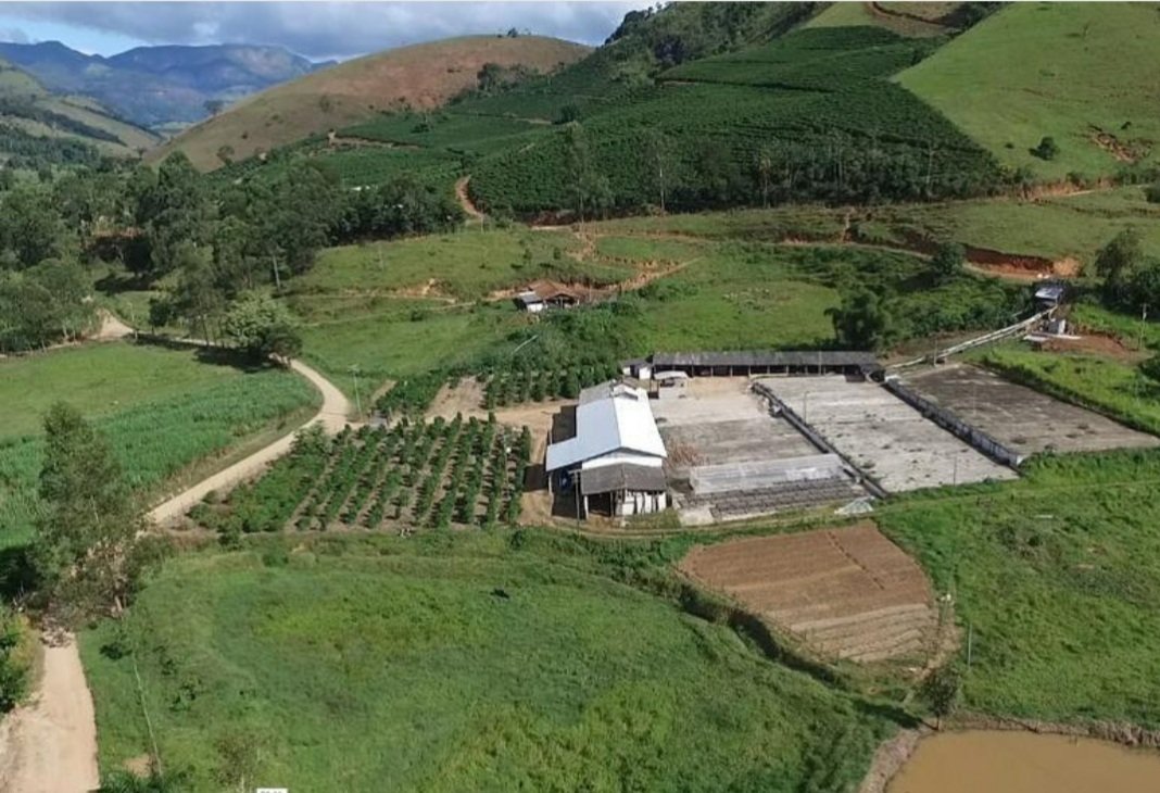 Mostra de Café na Serra na histórica Fazenda Bom Jardim 1 Bom Jardim, Petrópolis e São José do Vale do Rio Preto contribuem com a produção do estado. Acervo família Erthal