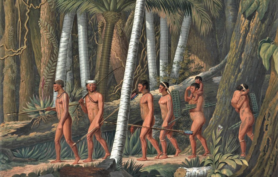 Puris retratado por Maximilien Alexander Philipp Wied-Neuwied. Acervo BN.