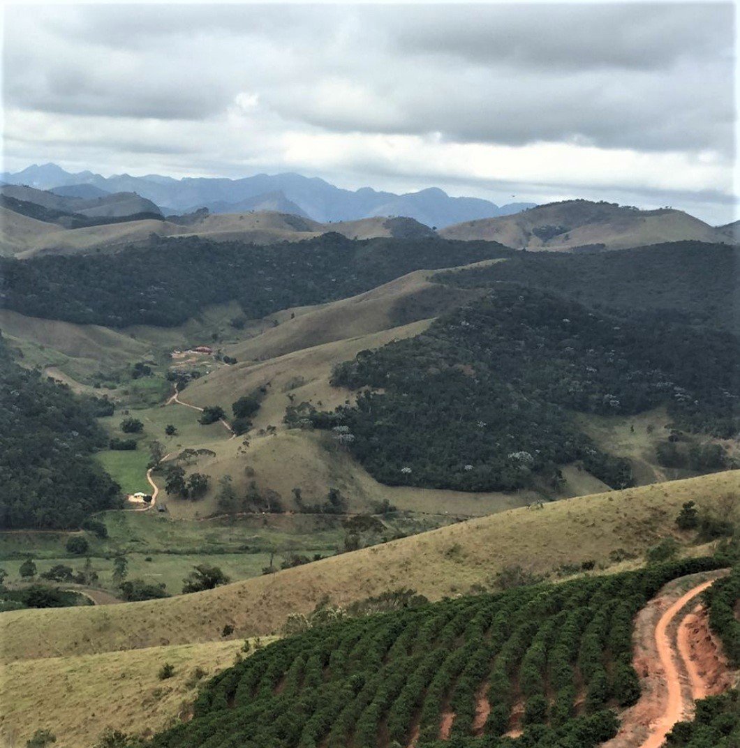 Mostra de Café na Serra na histórica Fazenda Bom Jardim 2 Um mar de morros na região serrana fluminense. Acervo família Erthal