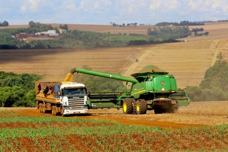 Brasil se consolida como líder mundial na produção agrícola