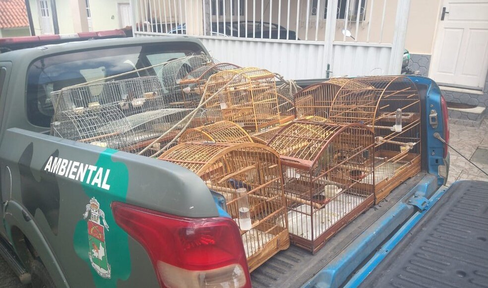 Pássaros são resgatados de cativeiro em Nova Friburgo