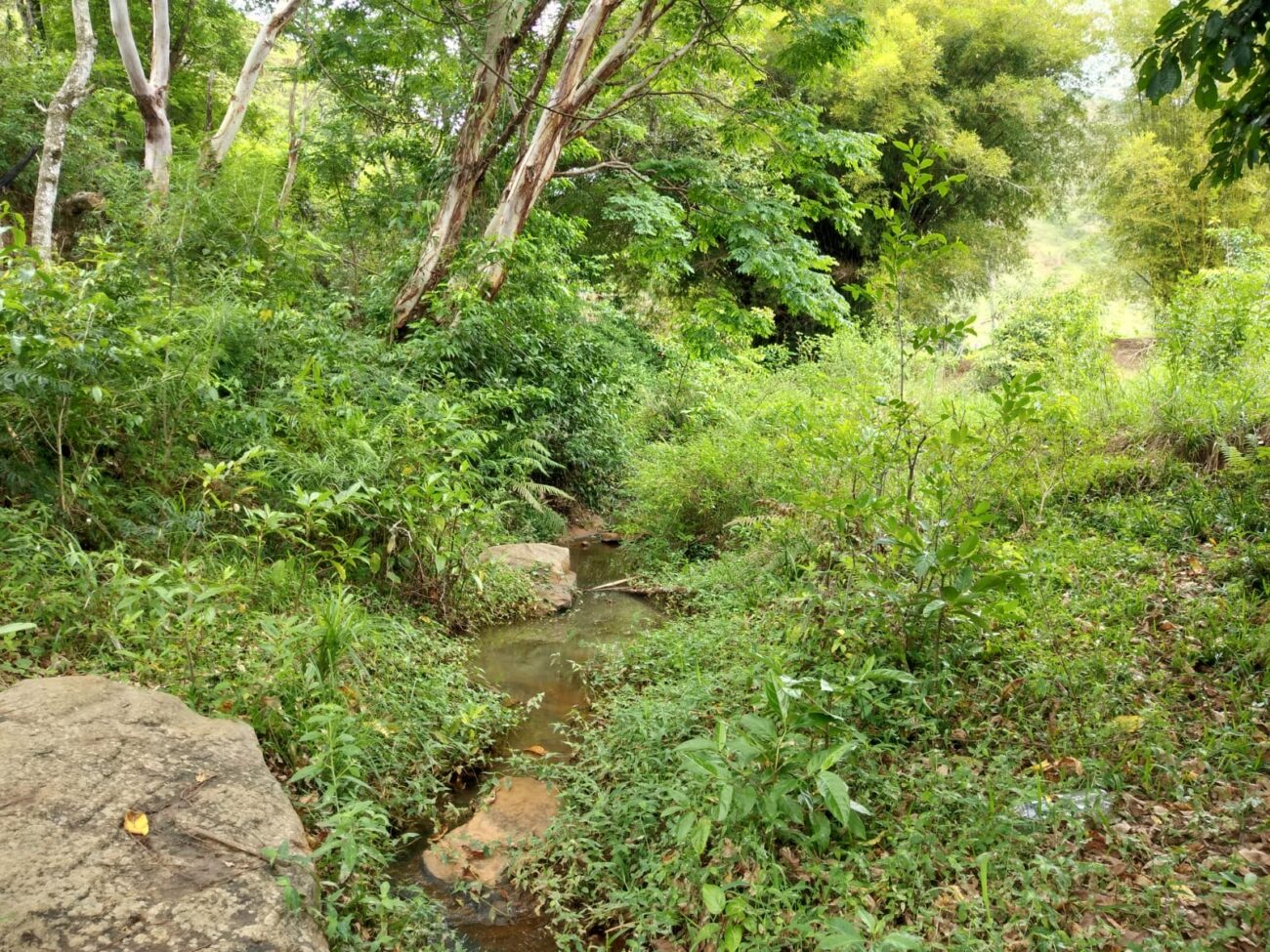 Itaocara: Projeto prevê criação do Monumento Natural da Serra Vermelha 1 Itaocara: Projeto prevê criação do Monumento Natural da Serra Vermelha