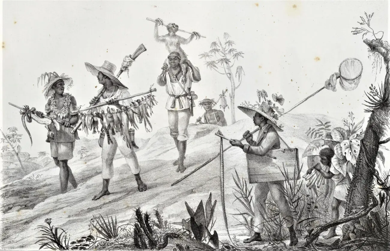 Memórias de um menino de fazenda de café do século 19 8 Retorno dos negros de um naturalista,1835, Jean-Baptiste Debret. Acervo Biblioteca Nacional