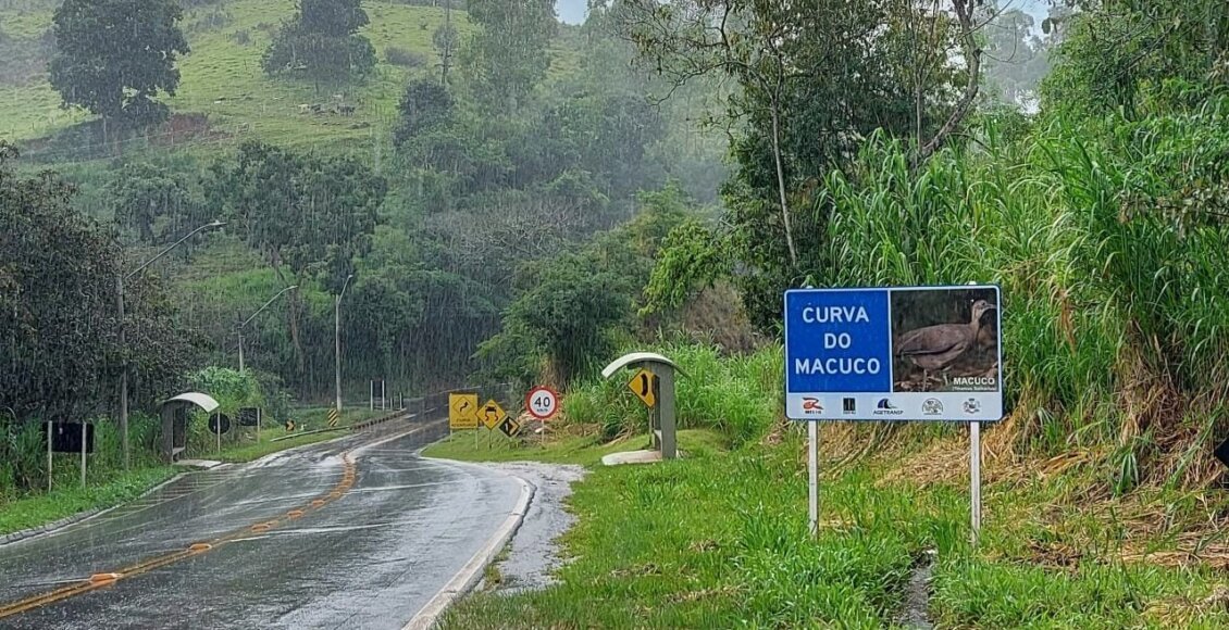 Concessionária instala novas guaritas de ônibus na RJ-116, em Macuco