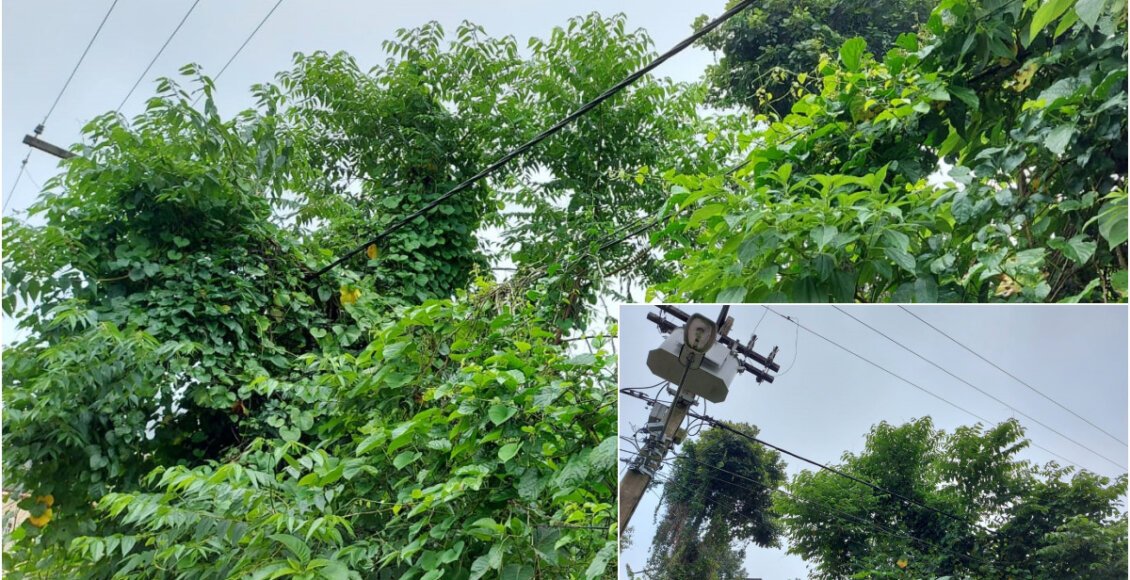 Moradores sofrem prejuízos com picos de energia em Cantagalo