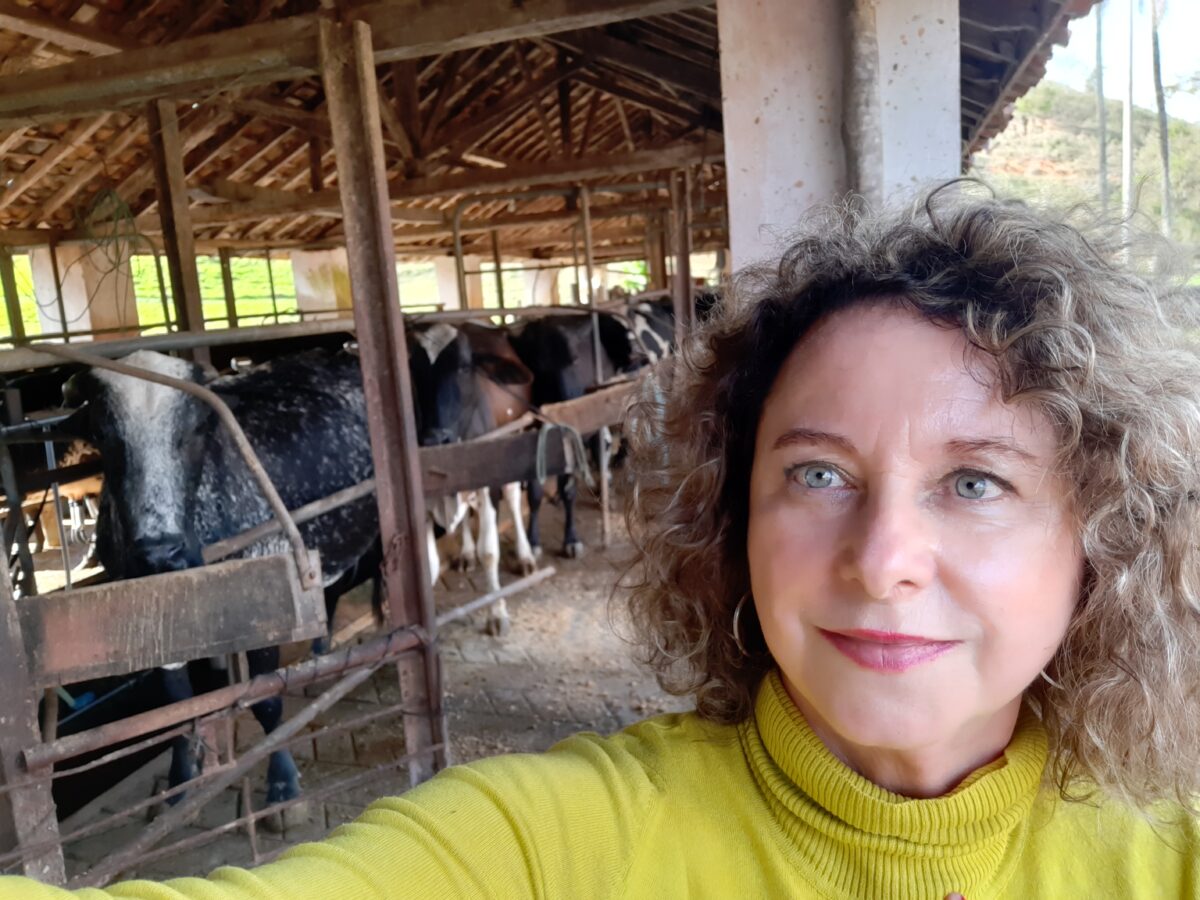 Documentar fazendas históricas: uma experiência no campo audiovisual 14 Fui salva na filmagem pelo encarregado da fazenda de um ataque de uma vaca. Acervo pessoal