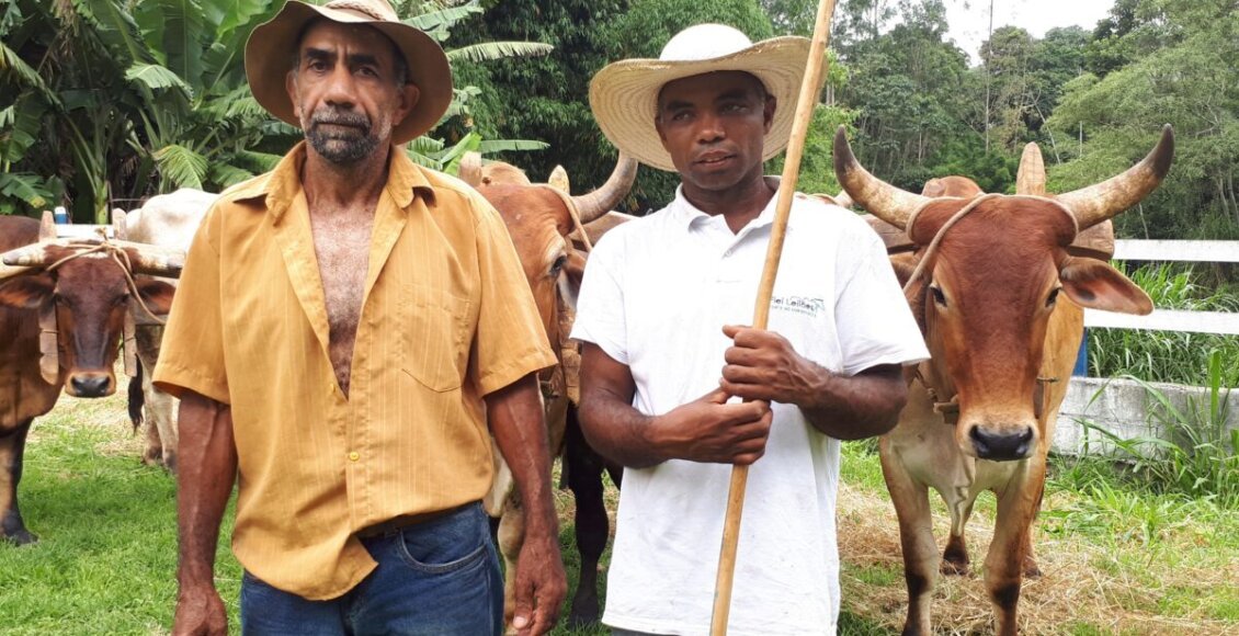 Carro de boi, o velho e fiel companheiro de trabalho