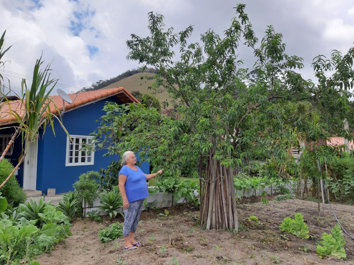 Botica doméstica no passado: a horta de dona Zali em Nova Friburgo 3 Dona Zali vende produtos de sua horta à comunidade local. Acervo pessoal