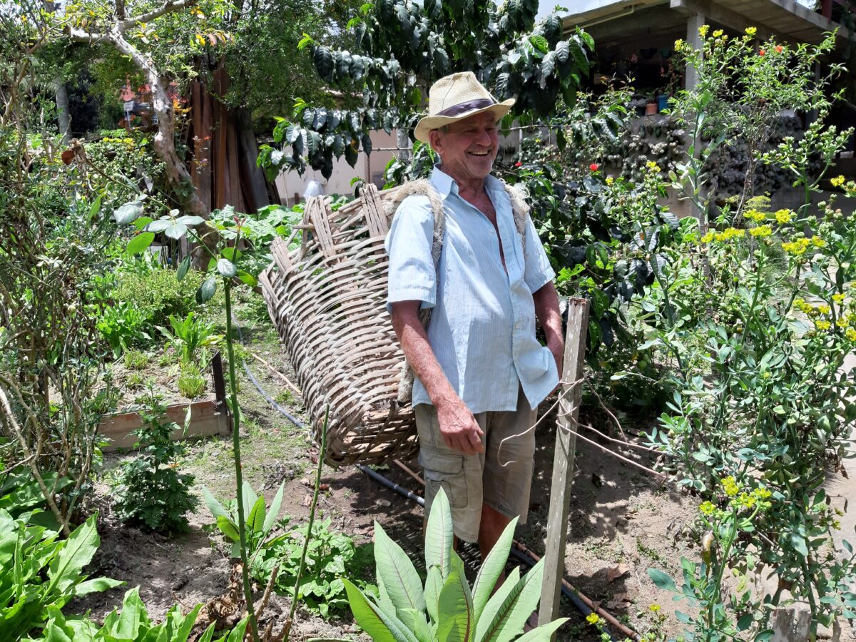 Botica doméstica no passado: a horta de dona Zali em Nova Friburgo 6 O jacá de bambu transporta os alimentos. Acervo pessoal