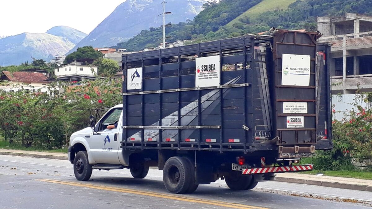 WhatsApp Image 2022 04 25 at 10.35.33