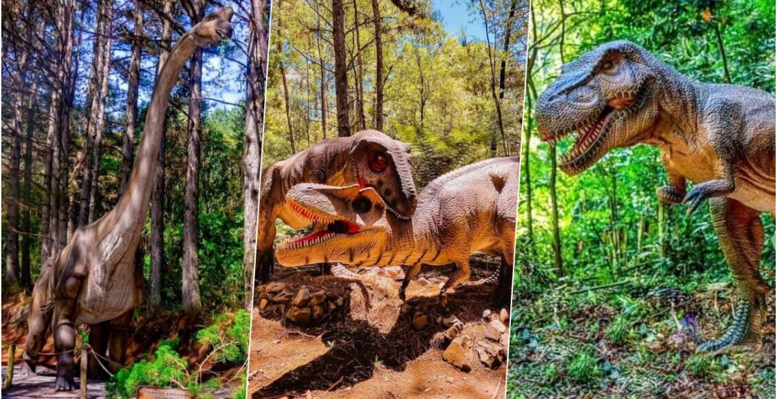 Miguel Pereira vai inaugurar o maior Parque de Dinossauros do mundo