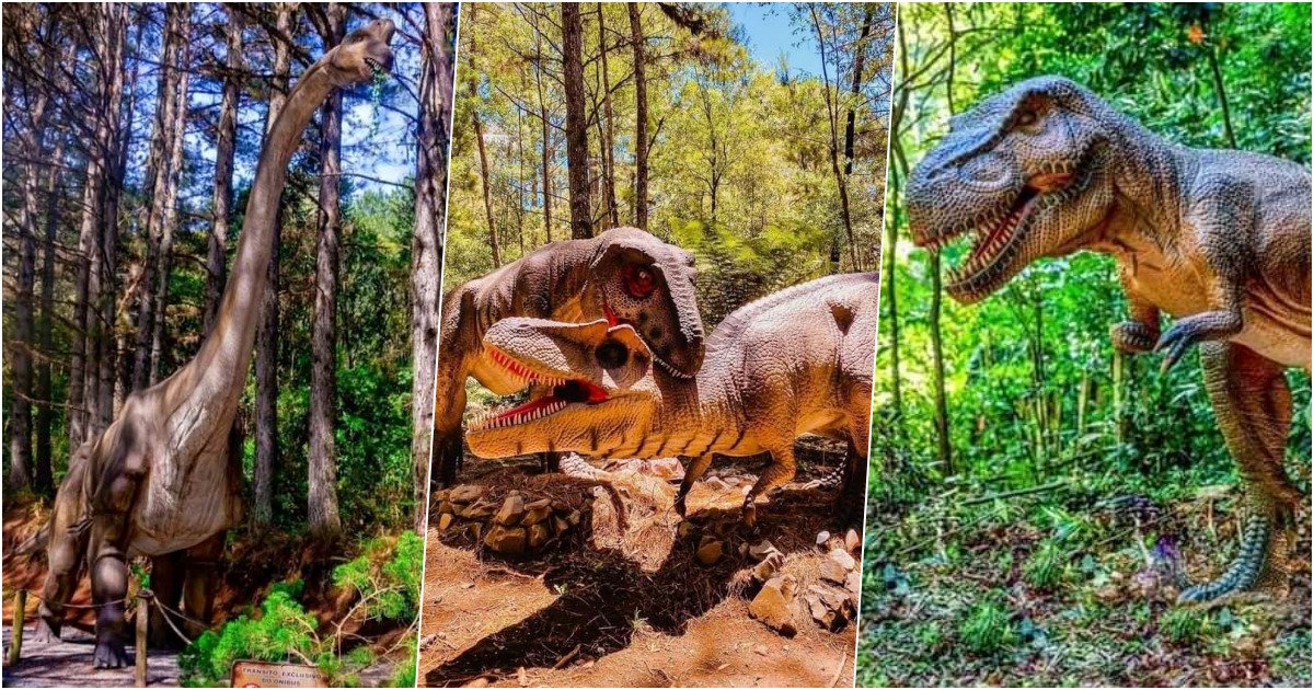Miguel Pereira vai inaugurar o maior Parque de Dinossauros do mundo