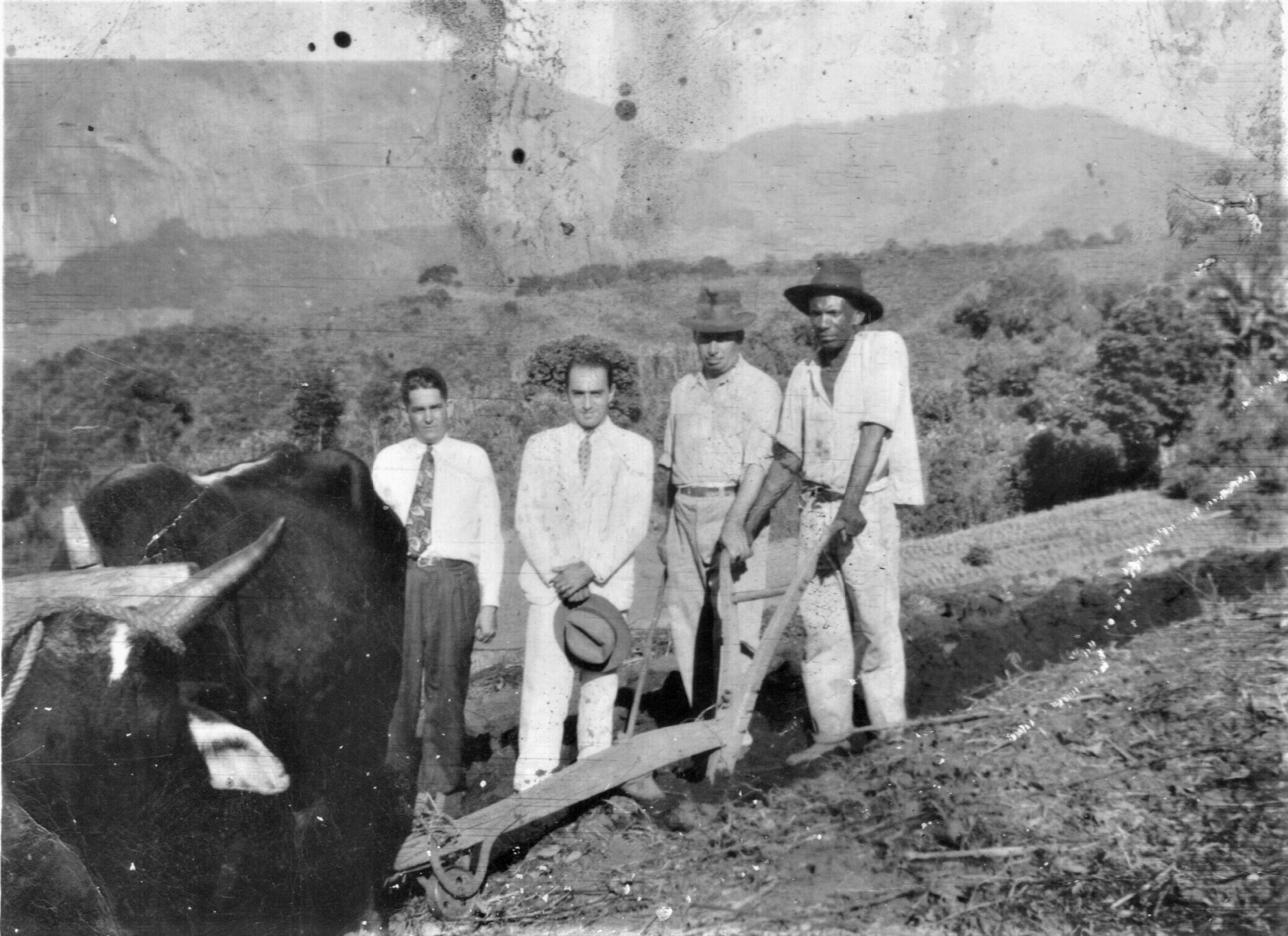 Os festivais de quadrilha na Fazenda do Cônego, em Nova Friburgo 2 Barroso foi criador do Clube dos Lavradores, conhecido como Casa do Pau Torto. Acervo B. Barroso