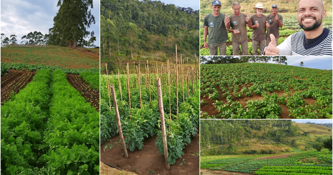 Capricho e dedicação na produção agrícola do Horto de Duas Barras