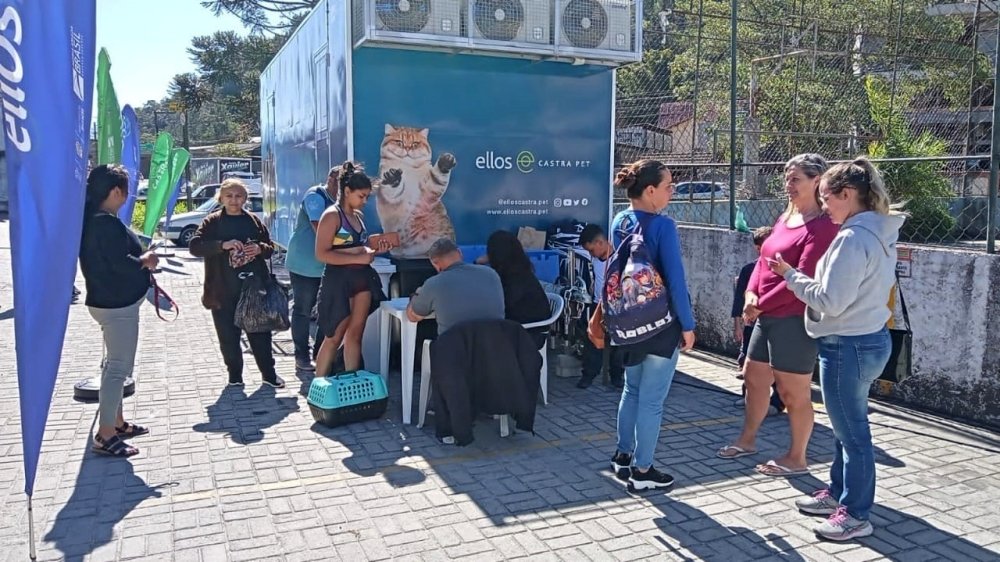 Projeto realiza castração gratuita de cães e gatos em Teresópolis